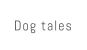 Dog tales